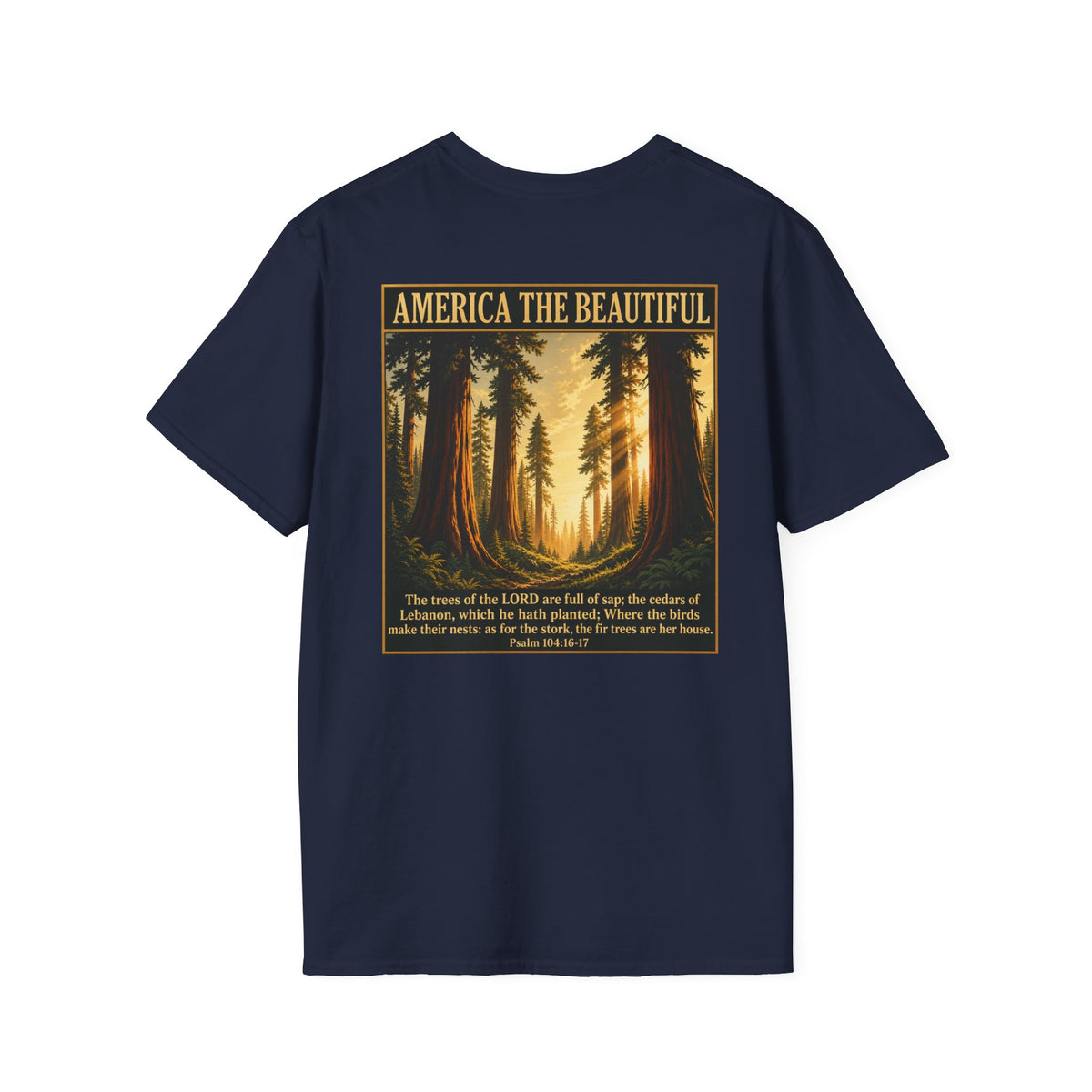 Redwood Forest - America The Beautiful