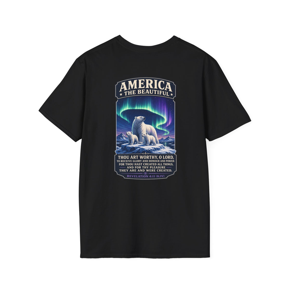 Northern Lights — America the Beautiful