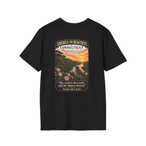 America The Beautiful - Connecticut