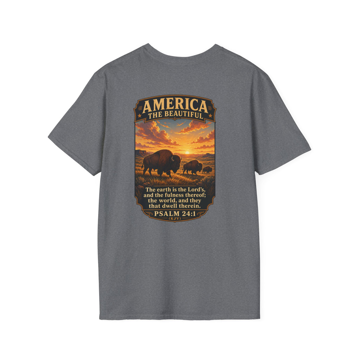 America the Beautiful - Bison on Prairie
