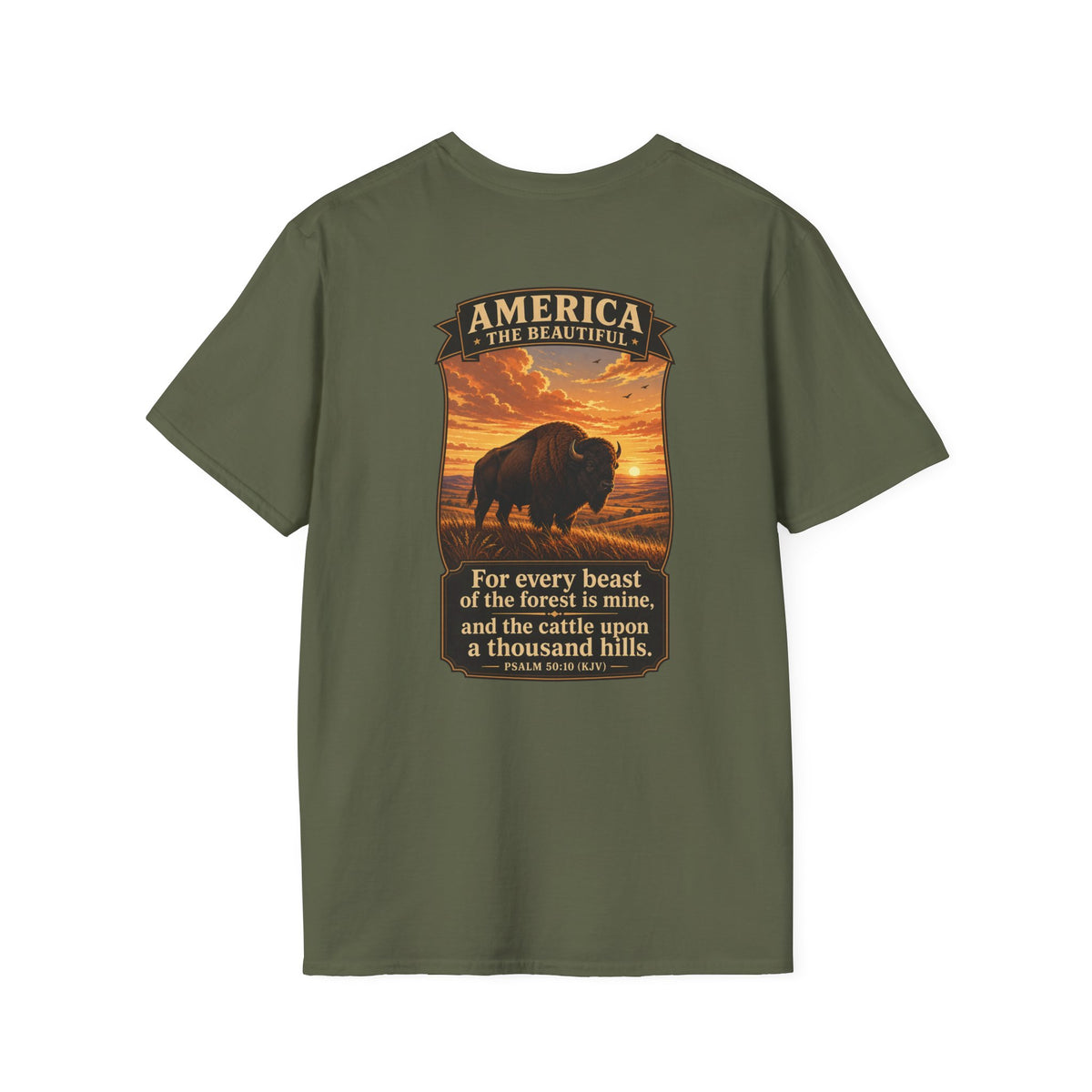 America the Beautiful - Bison