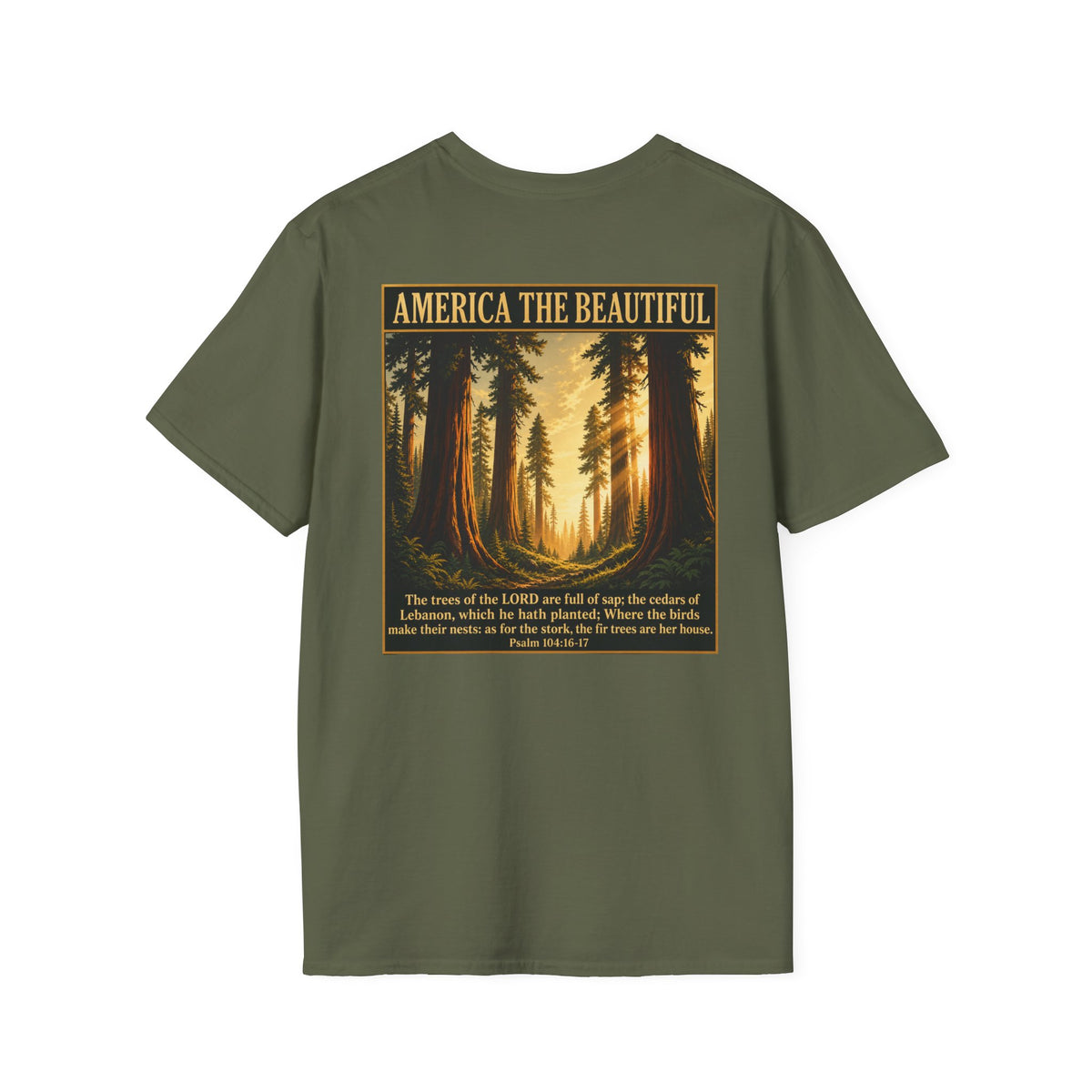 Redwood Forest - America The Beautiful