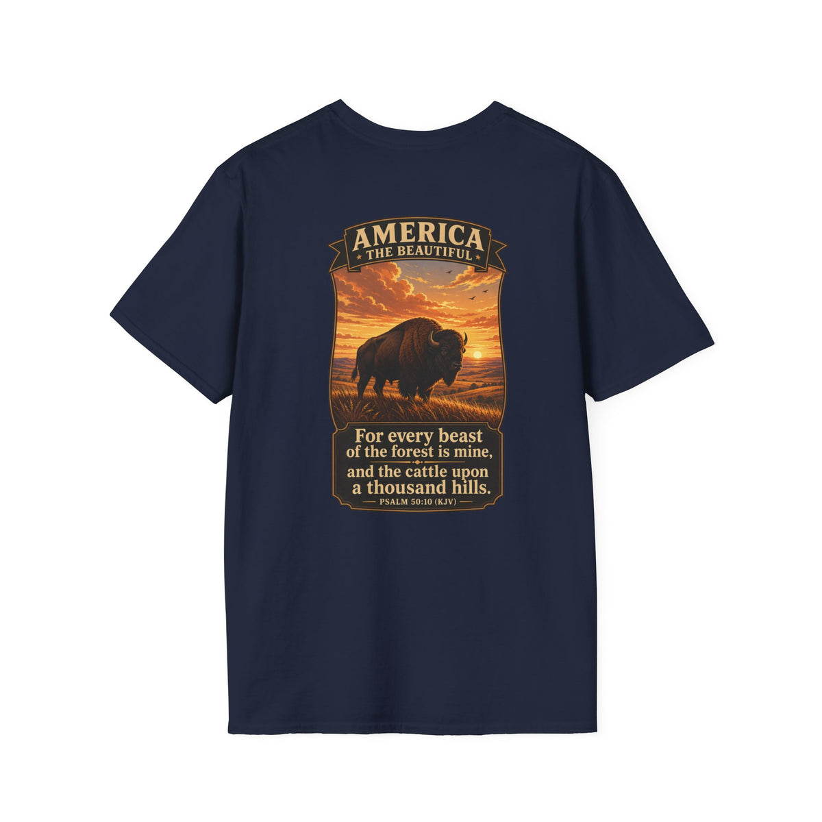America the Beautiful - Bison