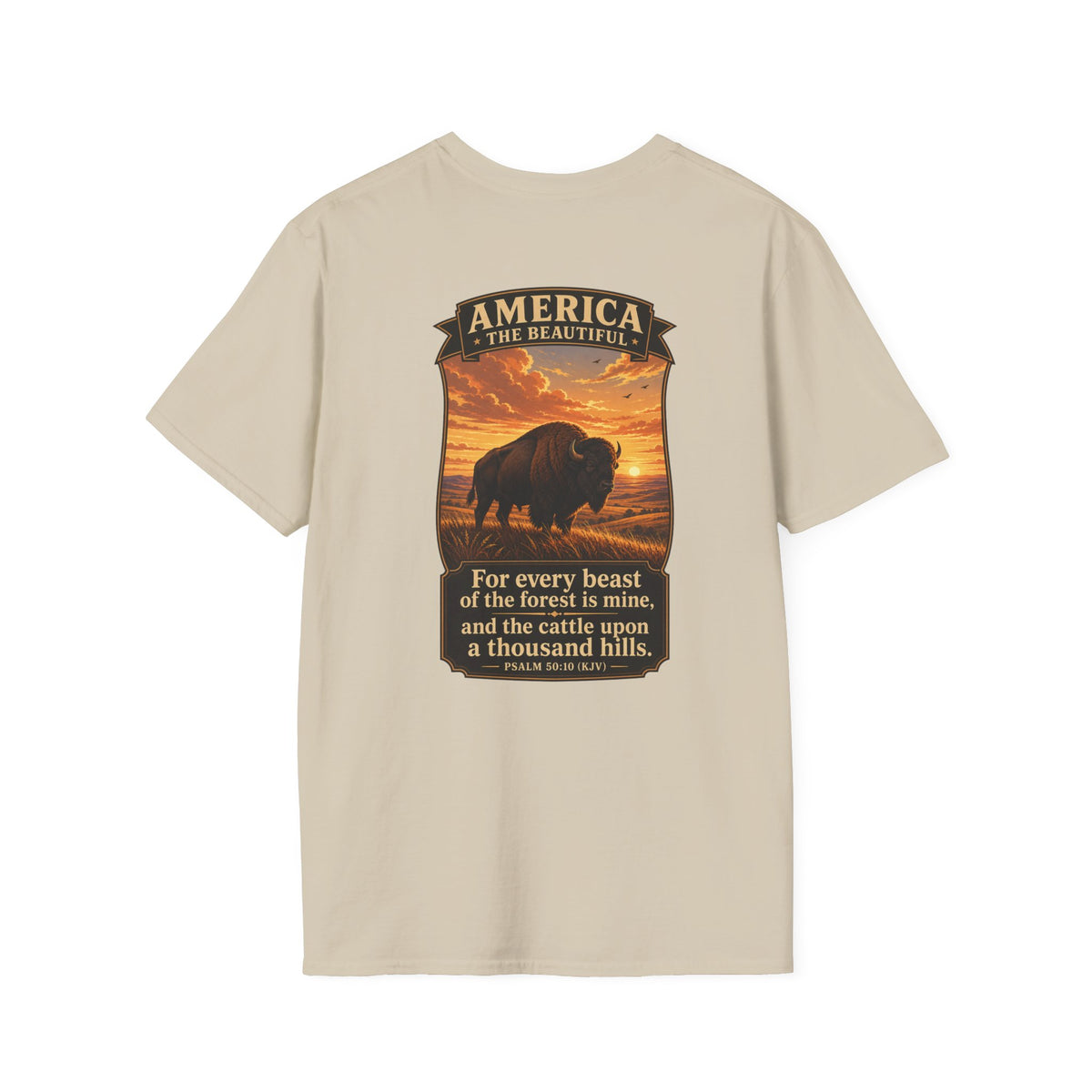 America the Beautiful - Bison
