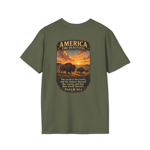 America the Beautiful - Bison on Prairie