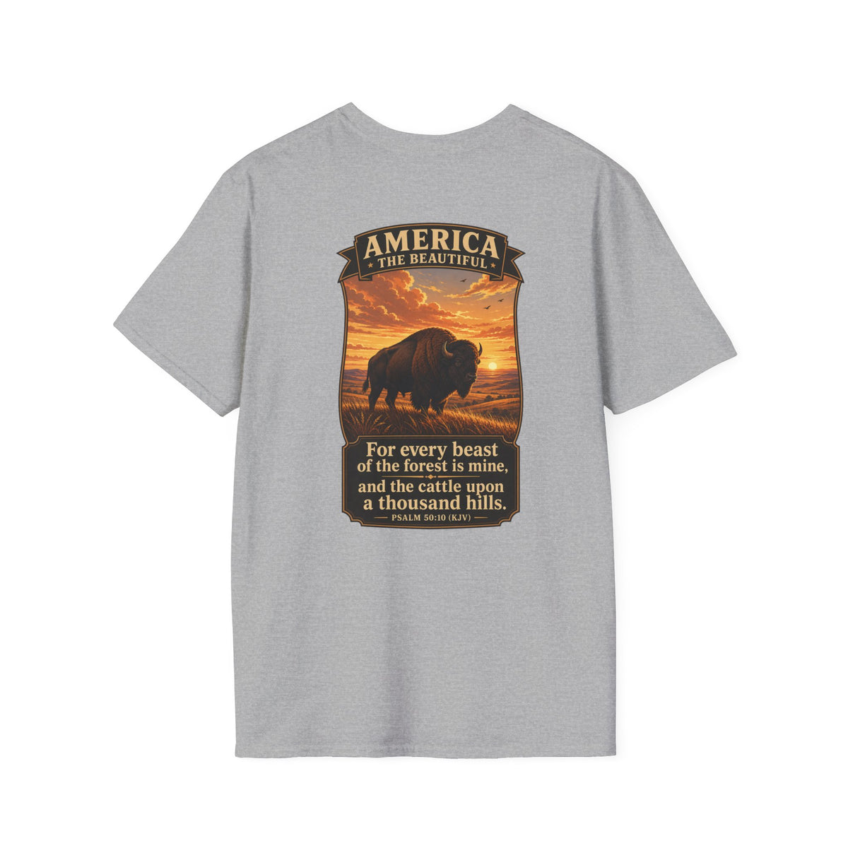 America the Beautiful - Bison