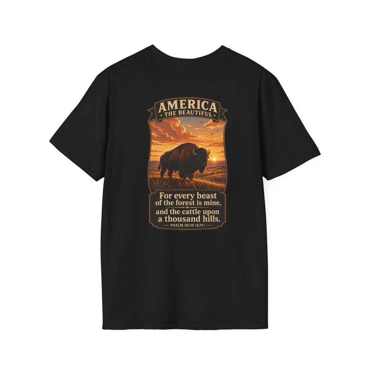 America the Beautiful - Bison