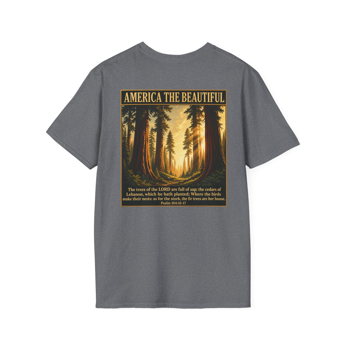 Redwood Forest - America The Beautiful